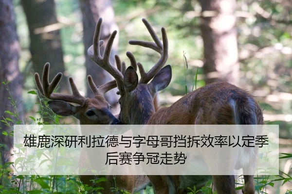 雄鹿深研利拉德与字母哥挡拆效率以定季后赛争冠走势